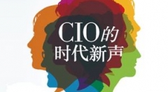 CIO : IT 治理知多少