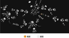 電商行業(yè)或?qū)⒅匦孪磁?，社交電商為何成為新風(fēng)口？