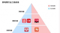 傳統(tǒng)電商VS社交電商   究竟“花”落誰家？