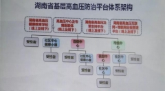 基于互聯(lián)網(wǎng)+臨床決策支持的高血壓管理平臺建設(shè)