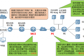 【案例】委辦安全接入解決方案