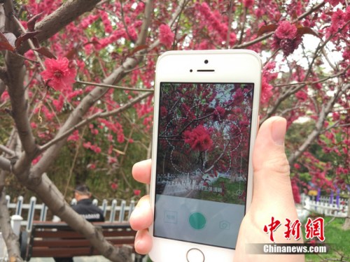 人工智能還能這么玩!識(shí)花神器讓你三秒告別“花癡”