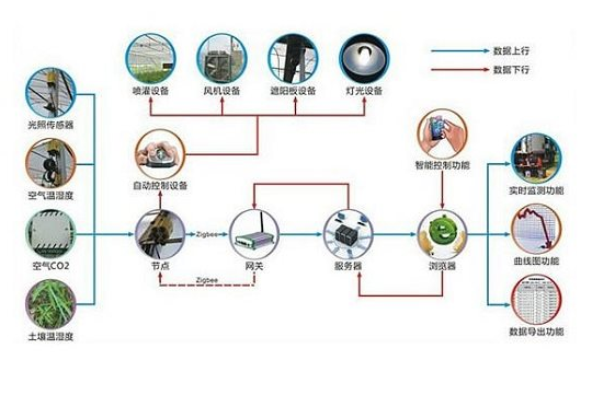 溫室大棚利用物聯(lián)網(wǎng)技術(shù)使得種植變得更精準(zhǔn)高效