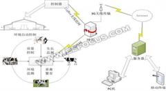 濫用抗生素現(xiàn)象泛濫成災，物聯(lián)網(wǎng)能否成為抵制“奇兵”？