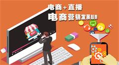 “電商+直播”仍是企業(yè)的主要盈利模式