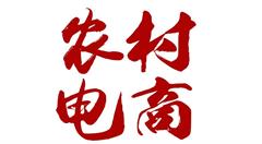 無為農(nóng)村電商“五步走”實現(xiàn)鄉(xiāng)村振興